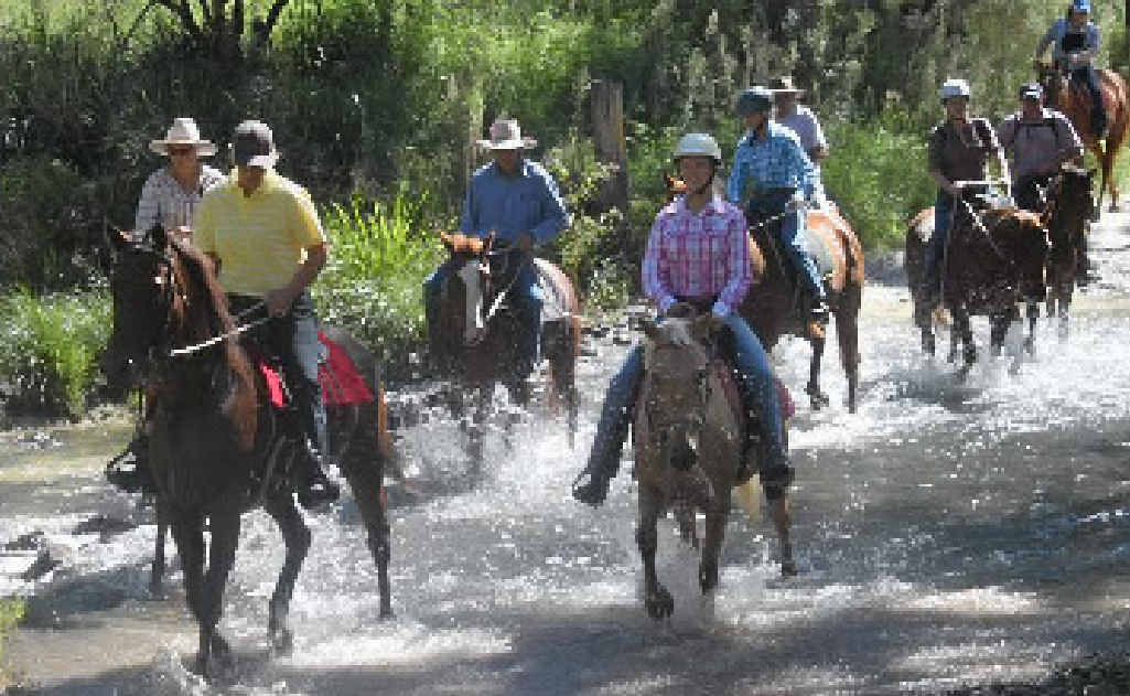 The Leanne Hoffman Trail Ride was a hit. The Leanne Hoffman Trail Ride was a hit.